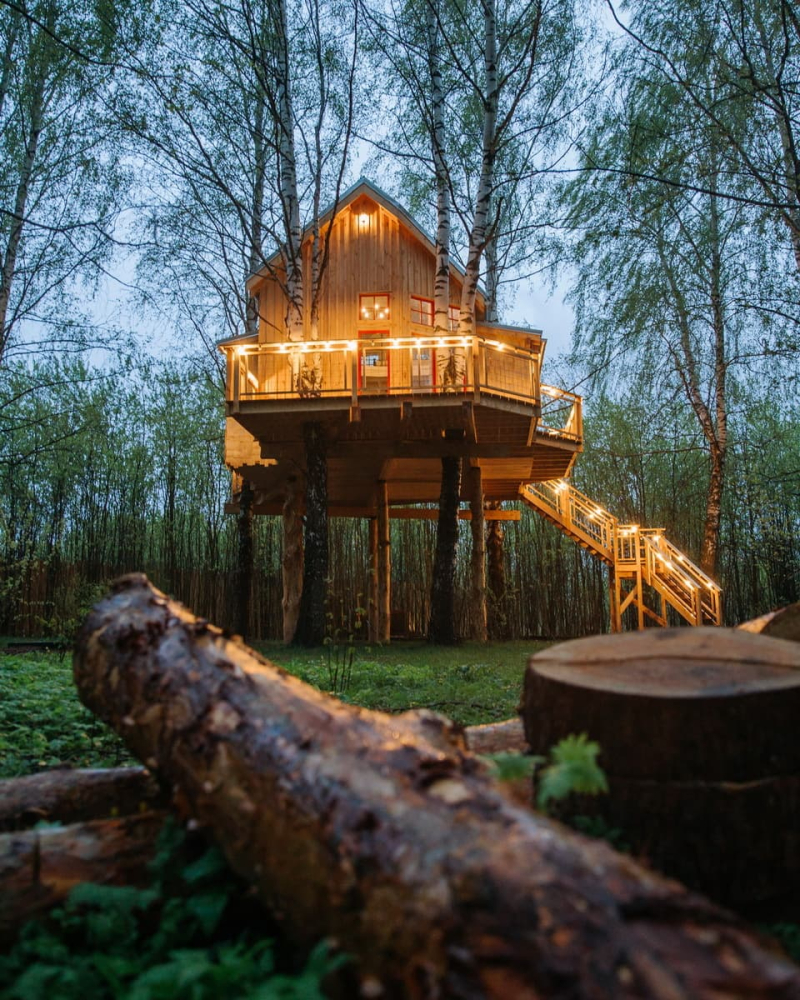 Глэмпинг Лапочкино гнездо- Дома на деревьях | Московская область